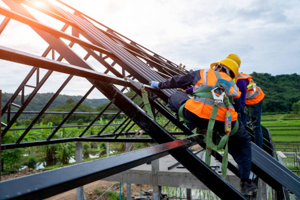 Roof Waterproofing Services in Tok, AK