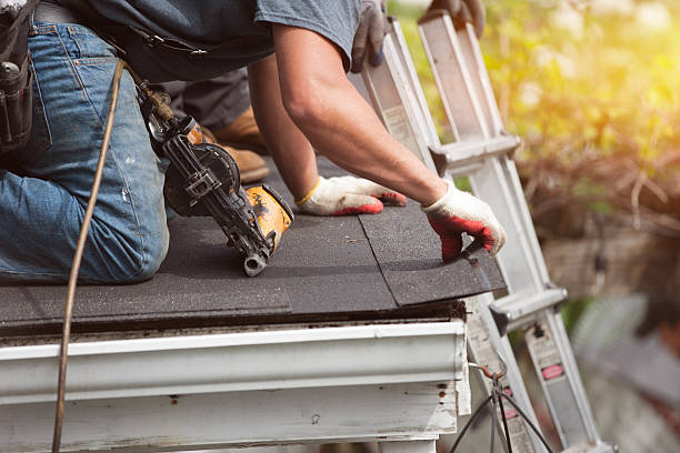 Best Metal Roofing Contractor  in Tok, AK
